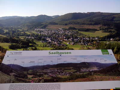 Saalhausen Tafel